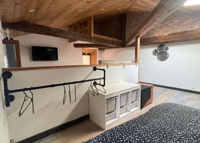 Le Loft Mansarde Apartment Ambert